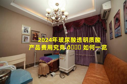 2024年玻尿酸透明质酸产品费用究竟 💐 如何一览